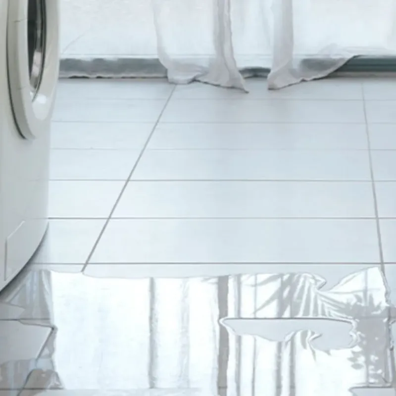 Appliance Leak Cleanup in Wise County, TX