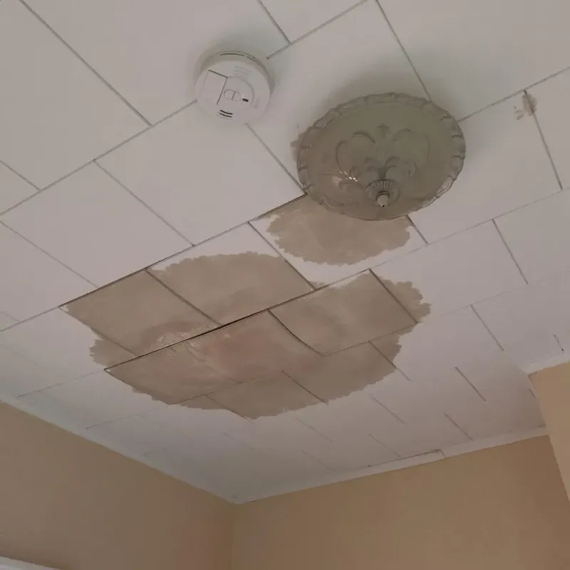 Ceiling Water Damage Repair in Wise County, TX