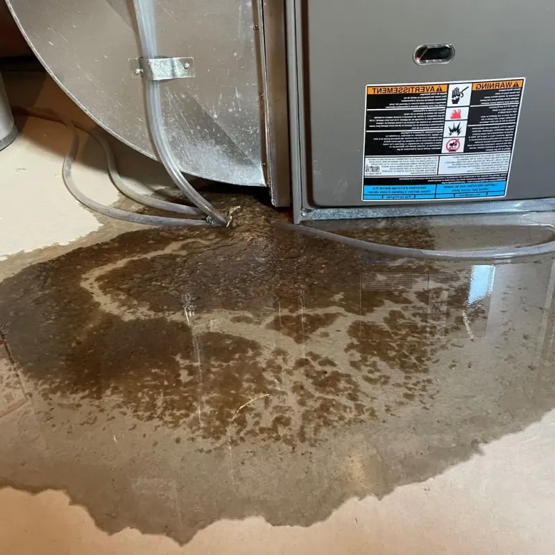 Pipe Burst and Leak Restoration in Wise County, TX