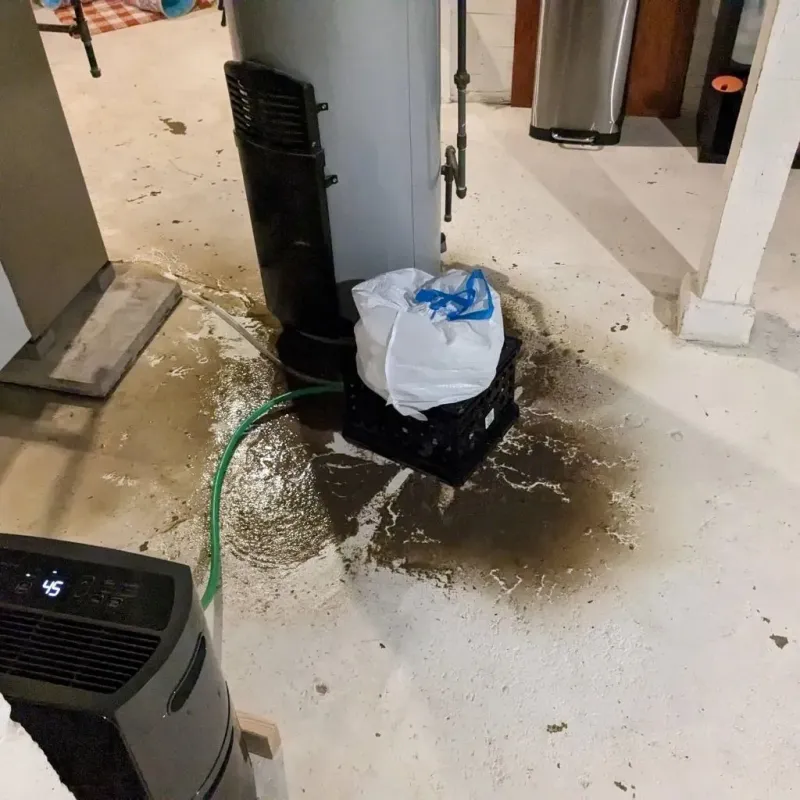 Sewage Backup Cleanup Service in Wise County, TX